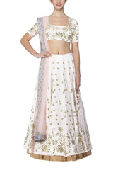 Water Pink Lehenga with Silk Blouse - devnaagri