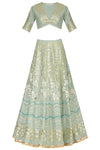 Pista Green Georgette Lehenga with Mul Mukaish Blouse - devnaagri