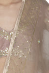 Sand Organza Saree with Raw Silk Blouse - devnaagri