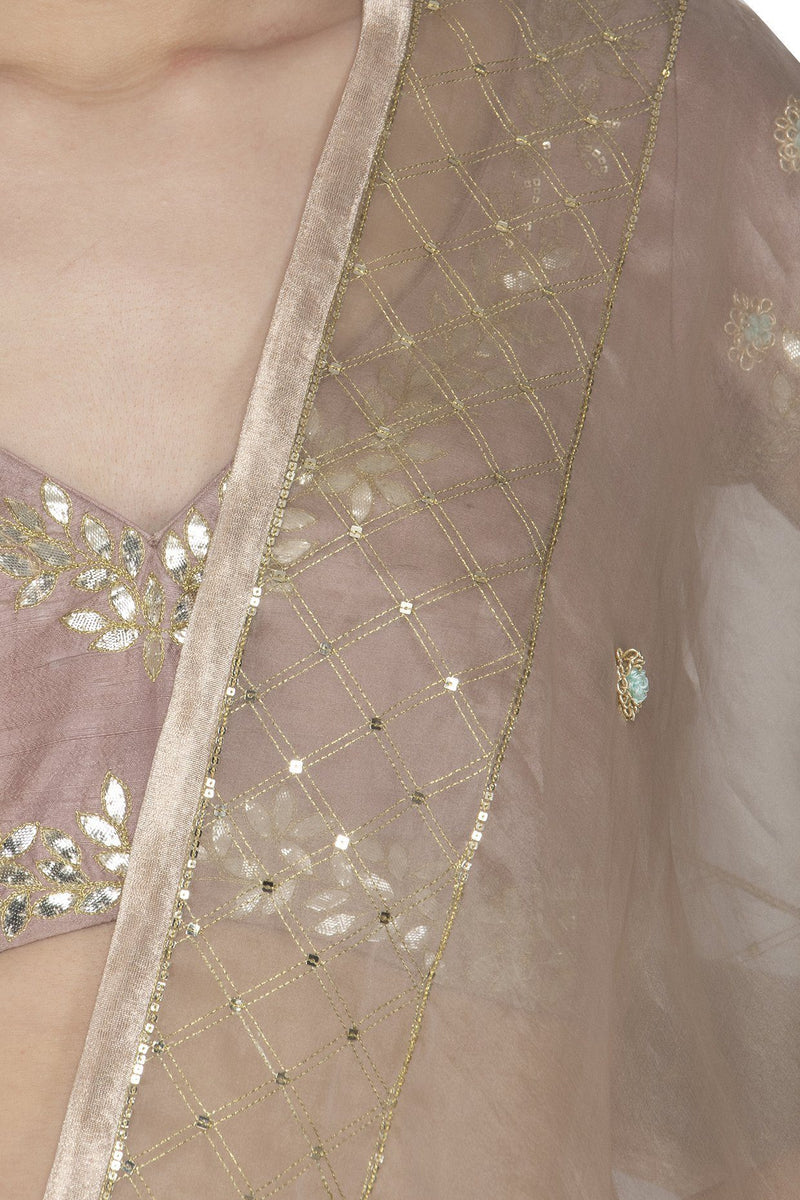 Sand Organza Saree with Raw Silk Blouse - devnaagri