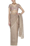 Sand Organza Saree with Raw Silk Blouse - devnaagri