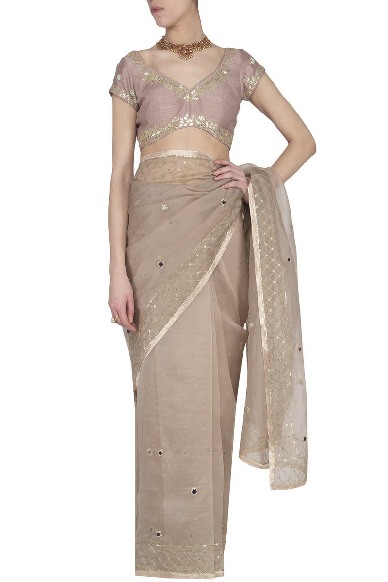 Sand Organza Saree with Raw Silk Blouse - devnaagri