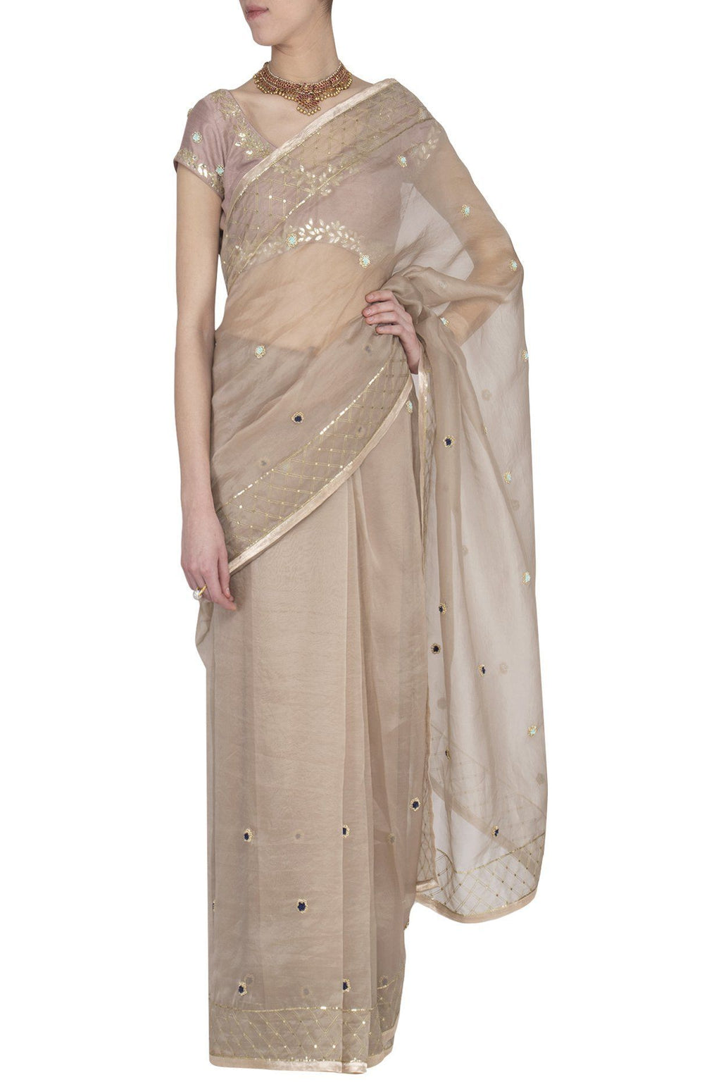 Sand Organza Saree with Raw Silk Blouse - devnaagri