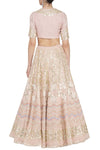 Blush Pink Georgette Lehenga with Mul Mukaish Blouse - devnaagri
